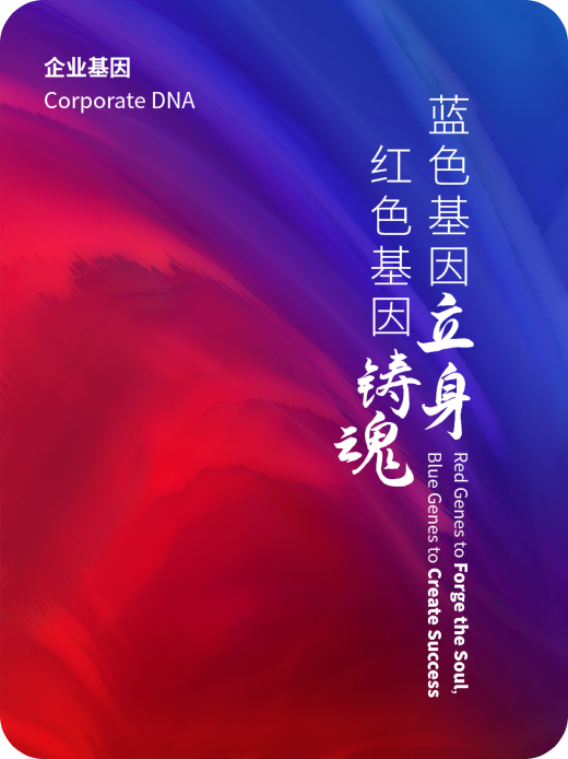 k8����(�й�)����Ӯ�ҡ�һ������